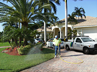 tropical pest control sprays for fleas and ticks in the front yard