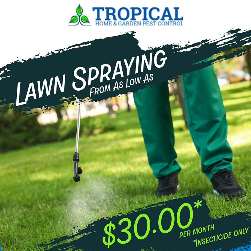 Tropical Pest Control has an ad that shows a resource spraying a lawn, the ad states lawn spraying from as low as thirty dollars per month for insecticide only